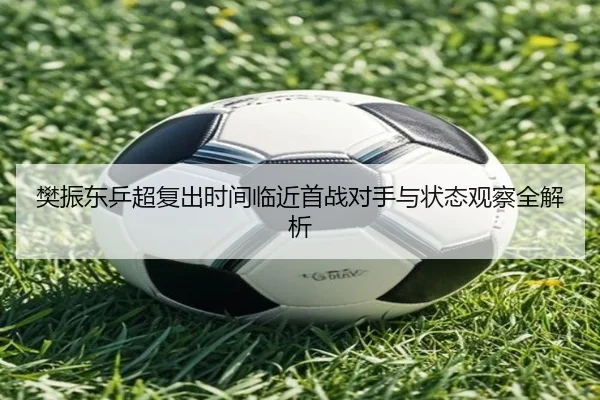 樊振东乒超复出时间临近首战对手与状态观察全解析